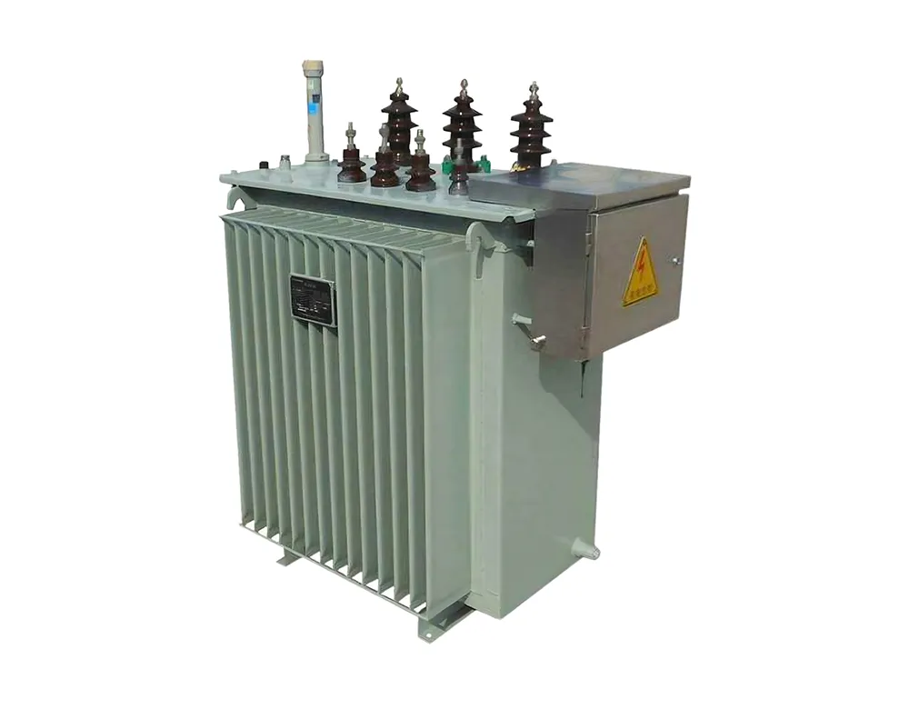 D13 Single-Phase Oil Immersed Transformer