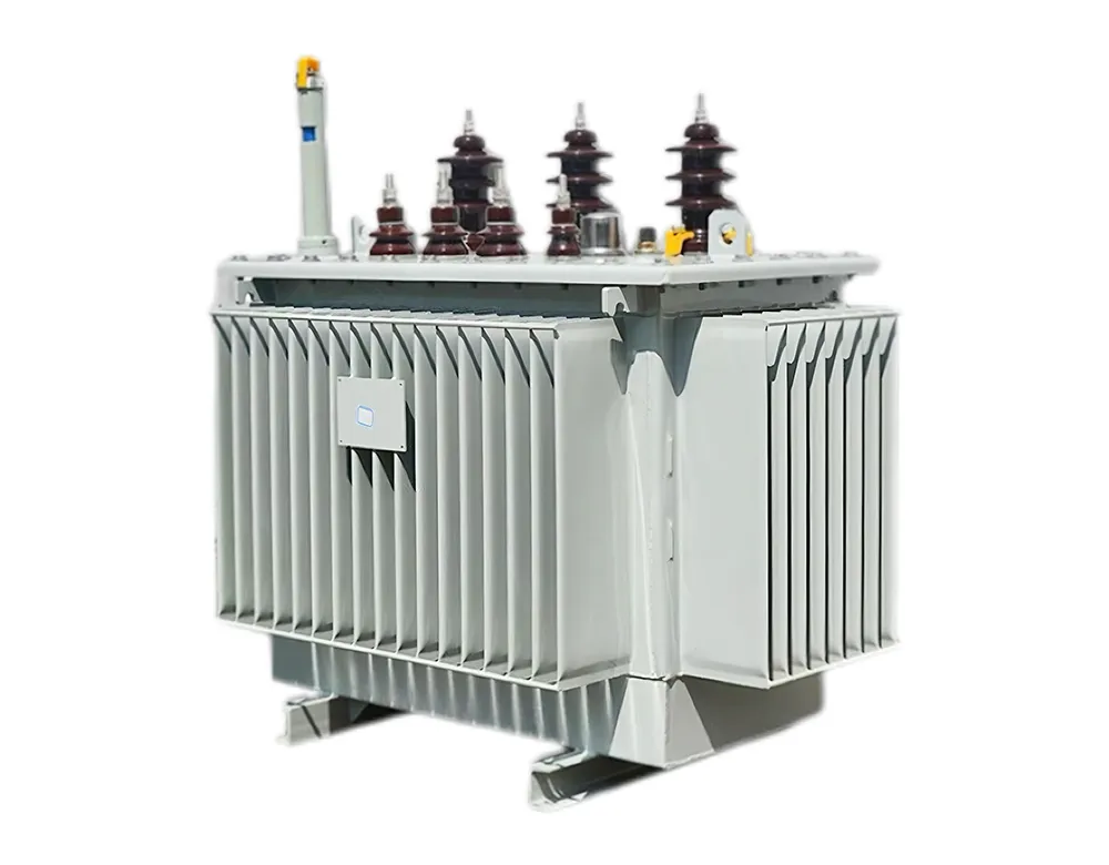 S13 (22) - M Fully Sealed Oil Immersed Transformer